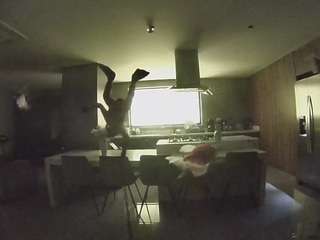 voyeurcam-casa-salsa-fishtank