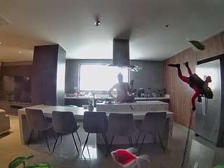 voyeurcam-casa-salsa-fishtank