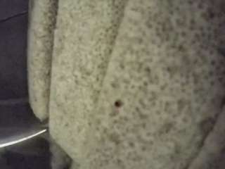 voyeurcam-casa-salsa-fishtank