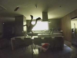 voyeurcam-casa-salsa-fishtank