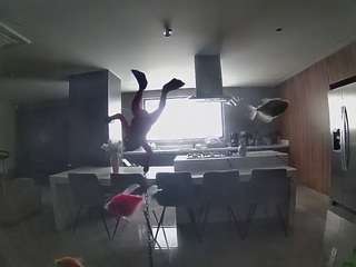 voyeurcam-casa-salsa-fishtank