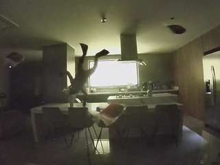 voyeurcam-casa-salsa-fishtank