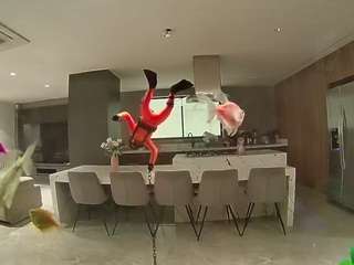 voyeurcam-casa-salsa-fishtank
