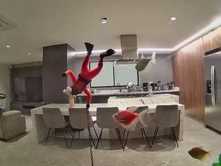 voyeurcam-casa-salsa-fishtank