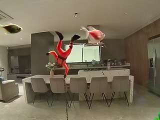 voyeurcam-casa-salsa-fishtank