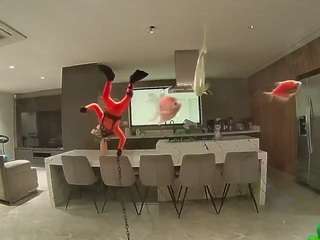 voyeurcam-casa-salsa-fishtank