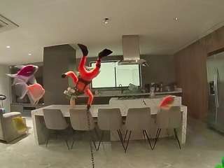 voyeurcam-casa-salsa-fishtank