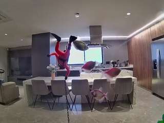 voyeurcam-casa-salsa-fishtank