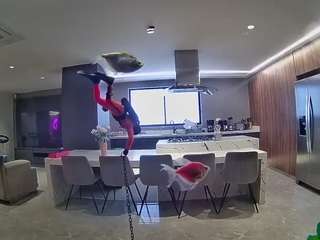 voyeurcam-casa-salsa-fishtank