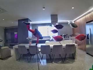 voyeurcam-casa-salsa-fishtank