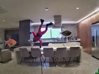 voyeurcam-casa-salsa-fishtank