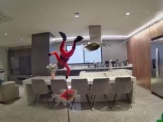 voyeurcam-casa-salsa-fishtank