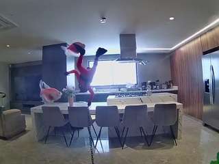  voyeurcam-casa-salsa-fishtank chat room