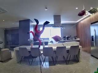 voyeurcam-casa-salsa-fishtank