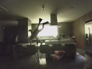 voyeurcam-casa-salsa-fishtank