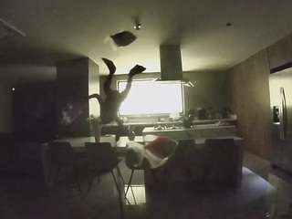 voyeurcam-casa-salsa-fishtank