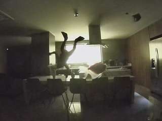 voyeurcam-casa-salsa-fishtank
