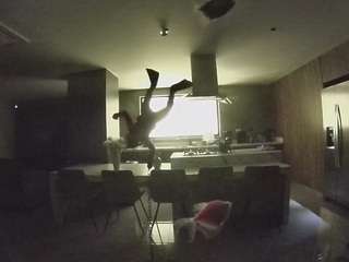 voyeurcam-casa-salsa-fishtank