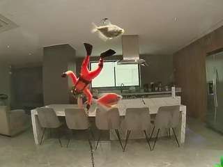 voyeurcam-casa-salsa-fishtank