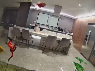 voyeurcam-casa-salsa-fishtank Public Chat Channel, camsoda