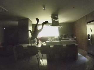 voyeurcam-casa-salsa-fishtank