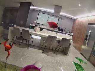 Dirtyroulltete Hd, Young Adult, Voyeur, Teen 18, Sexwebcam, Pov, No Drinking, Hidden Cam, Flashing, Amateur...