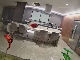 voyeurcam-casa-salsa-fishtank Public Chat Channel, camsoda