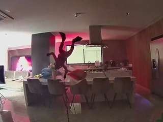 voyeurcam-casa-salsa-fishtank