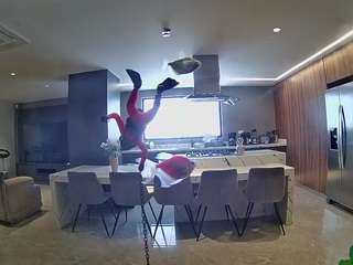voyeurcam-casa-salsa-fishtank
