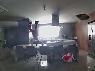voyeurcam casa salsa fishtank