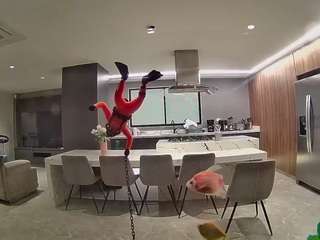 voyeurcam-casa-salsa-fishtank