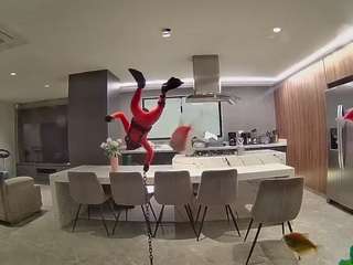 voyeurcam-casa-salsa-fishtank