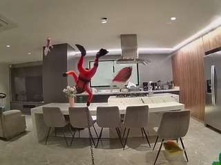 voyeurcam-casa-salsa-fishtank