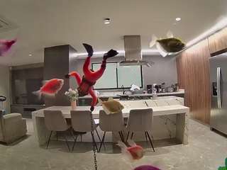 voyeurcam-casa-salsa-fishtank