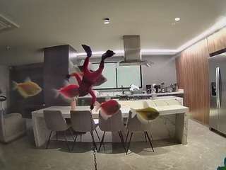 voyeurcam-casa-salsa-fishtank