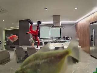voyeurcam-casa-salsa-fishtank