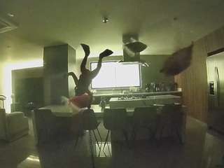 voyeurcam-casa-salsa-fishtank