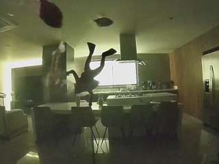 voyeurcam-casa-salsa-fishtank