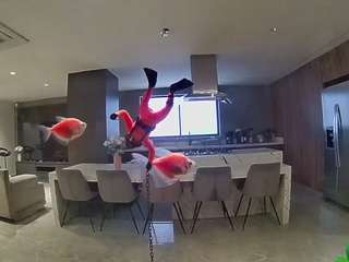 voyeurcam-casa-salsa-fishtank