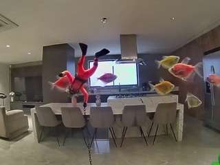 voyeurcam-casa-salsa-fishtank
