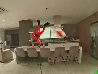 voyeurcam casa salsa fishtank