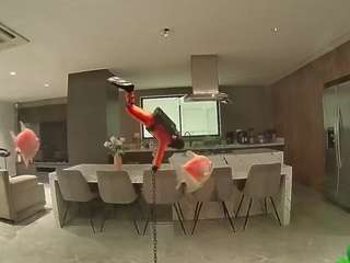 voyeurcam casa salsa fishtank