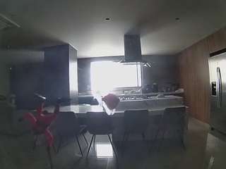 voyeurcam casa salsa fishtank
