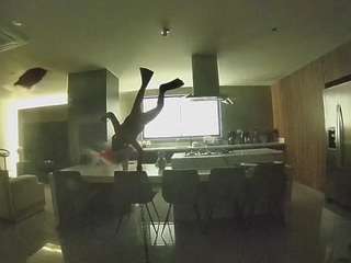 voyeurcam-casa-salsa-fishtank