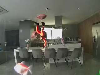 voyeurcam-casa-salsa-fishtank