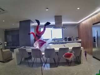 voyeurcam-casa-salsa-fishtank