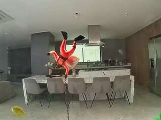 voyeurcam-casa-salsa-fishtank