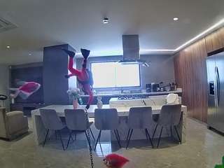 voyeurcam-casa-salsa-fishtank