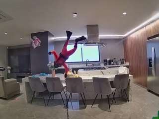 voyeurcam-casa-salsa-fishtank