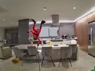 voyeurcam-casa-salsa-fishtank